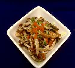 Salmon Skin App